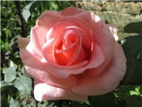 8f14b9be-Picture 756.jpg